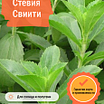 Стевия Свиити Стевия Свиити
